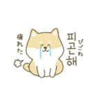 柴犬の韓国語（個別スタンプ：4）