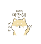 柴犬の韓国語（個別スタンプ：9）