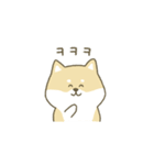 柴犬の韓国語（個別スタンプ：14）