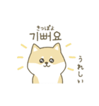柴犬の韓国語（個別スタンプ：16）