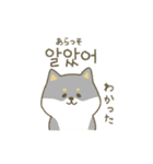 柴犬の韓国語（個別スタンプ：17）