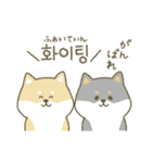 柴犬の韓国語（個別スタンプ：18）