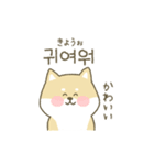 柴犬の韓国語（個別スタンプ：23）