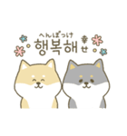柴犬の韓国語（個別スタンプ：36）