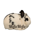 Noir et Blanc  2-year-old rabbit（個別スタンプ：25）