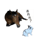 Noir et Blanc  2-year-old rabbit（個別スタンプ：31）