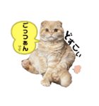 おこわすたんぷ（個別スタンプ：2）