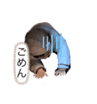 にとのすたんぷ（個別スタンプ：4）