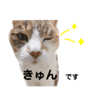 ふらんちゃん！（個別スタンプ：5）