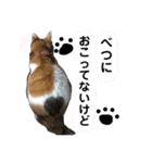 ふらんちゃん！（個別スタンプ：9）