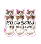 ふらんちゃん！（個別スタンプ：19）