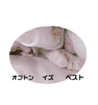 ふらんちゃん！（個別スタンプ：22）
