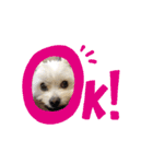 ふくくん2（個別スタンプ：2）