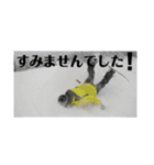 まーちゃんスタンプ❤️❤️❤️（個別スタンプ：13）