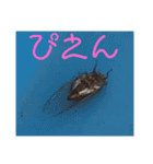 OK2021ver1（個別スタンプ：11）