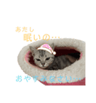 ちくわ生活①（個別スタンプ：7）