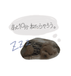 wasabi dayo（個別スタンプ：8）