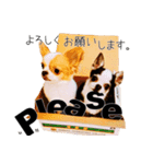 仲良し元気とおでん。2（個別スタンプ：3）