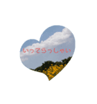 SOLA.school（個別スタンプ：2）