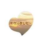 SOLA.school（個別スタンプ：5）