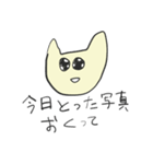 狂ったハッピー猫（個別スタンプ：6）