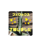 アガベ挨拶スタンプ（個別スタンプ：8）