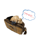 SOY スタンプ（個別スタンプ：22）