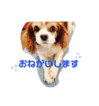 inoファミリー（個別スタンプ：4）