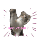inoファミリー（個別スタンプ：6）