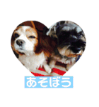 inoファミリー（個別スタンプ：7）