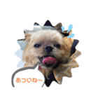 inoファミリー（個別スタンプ：8）