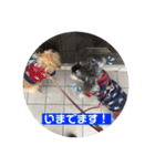 inoファミリー（個別スタンプ：12）