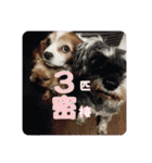 inoファミリー（個別スタンプ：14）