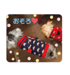inoファミリー（個別スタンプ：22）