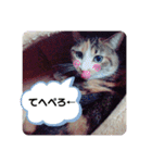 inoファミリー（個別スタンプ：23）