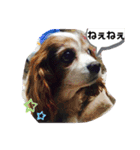 inoファミリー（個別スタンプ：27）