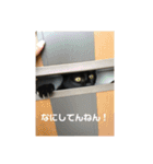お猫サマ（個別スタンプ：12）