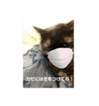 お猫サマ（個別スタンプ：19）