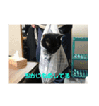お猫サマ（個別スタンプ：20）