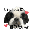 らんまる君と時々つばさ（個別スタンプ：7）