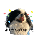 らんまる君と時々つばさ（個別スタンプ：9）