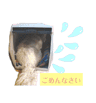 ウエスティの弥勒さん 一（個別スタンプ：6）