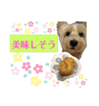 ウエスティの弥勒さん 一（個別スタンプ：14）