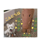 ウエスティの弥勒さん 一（個別スタンプ：21）