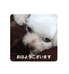 まるはあなたを幸せにする（個別スタンプ：5）
