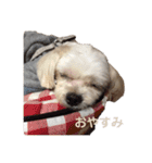 まるはあなたを幸せにする（個別スタンプ：6）