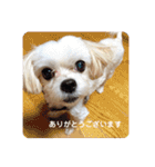 まるはあなたを幸せにする（個別スタンプ：7）