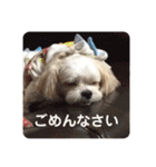 まるはあなたを幸せにする（個別スタンプ：8）