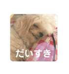 まるはあなたを幸せにする（個別スタンプ：10）