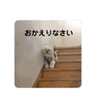 まるはあなたを幸せにする（個別スタンプ：18）
